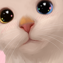 tlcWholesomeCatStare