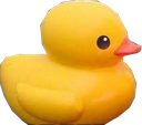 ducky