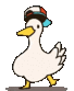 duck_dance