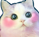 tlrKittyBlush