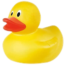 duckieflip