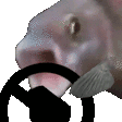 PogDrivingFish
